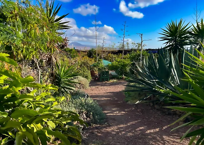 The Secret Garden Lanzarote * 海瑞亚