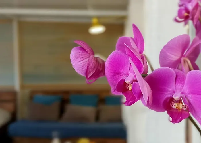 The Secret Garden Lanzarote *