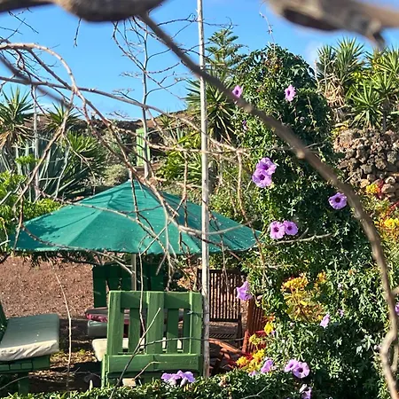 The Secret Garden Lanzarote Campsite *